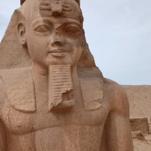 Tanis and tell Basta